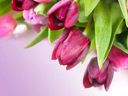 Поздравление с днем работников жилищно-коммунального хозяйства