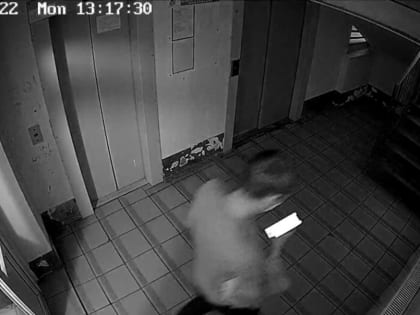 В Чебоксарах осужден "курьер", похитивший у пенсионерки 160 тысяч рублей