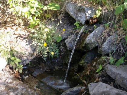 Началась работа над цифровой картой родников&nbsp;Чувашии