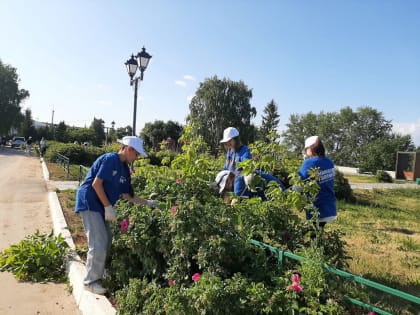 Молодогвардейцы Козловского местного отделения организовали субботник