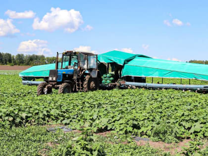 Николай Хорасев посетил ряд сельхозтоваропроизводителей