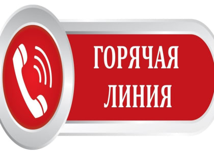 В прокуратуре Порецкого района организована горячая линия