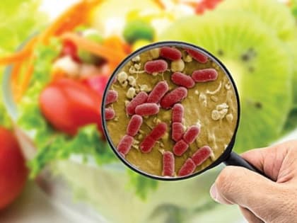 О профилактике пищевых отравлений и инфекционных болезней, передающихся с пищей