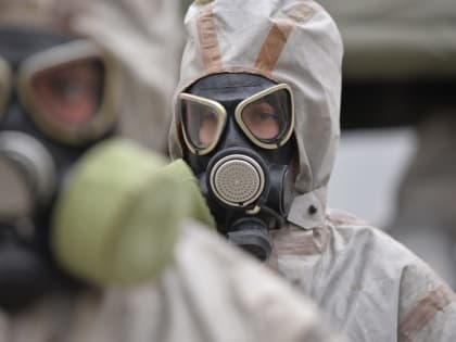 На карантин по сибирской язве в Чувашии ветеринаров вывели копыта и хвост