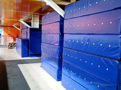 Для конькобежцев Чувашии закуплены защитные маты