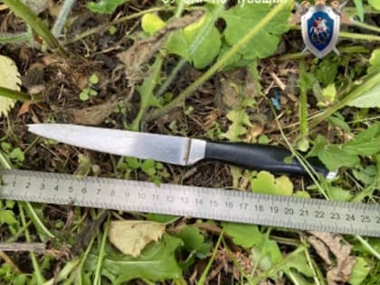 В Чувашии осудили мужчину, напавшего с ножом на двоих сельчан с ножом и убившего одного из них