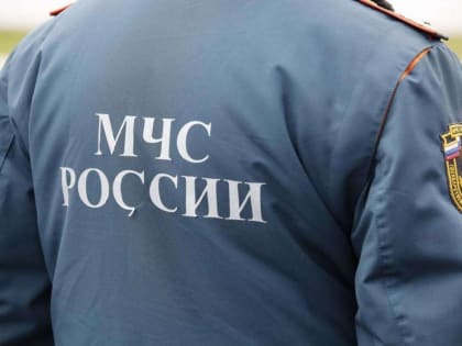 МЧС предупреждает о риске роста пожаров из-за аномальных морозов в России