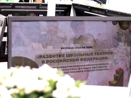 Столичные учителя участники круглого стола «Развитие школьных театров в Российской Федерации»