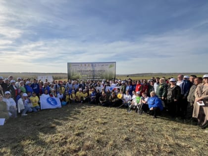 Масштабная акция «Сохрани лес» привлекла более 500 участников