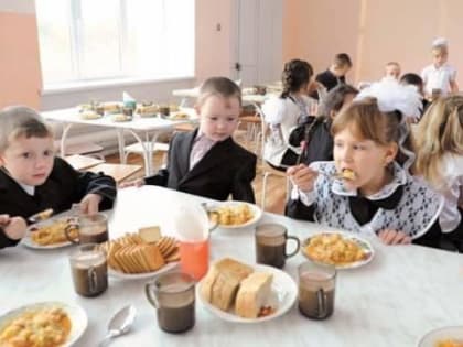 Народный фронт в Чувашии предлагает обеспечить детей-инвалидов бесплатным питанием в школе