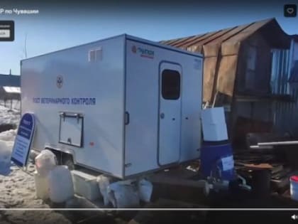 В Чувашии будут судить жителя Цивильского МО, который заразил соседей сибирской язвой