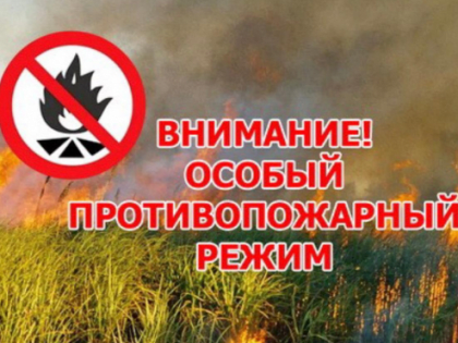 С 27 июля в Мариинско-Посадском районе введен особый противопожарный режим
