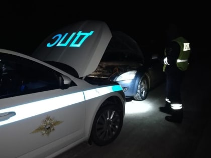 В Чувашии сотрудники ДПС спасли от холода беременную автоледи с пассажирами