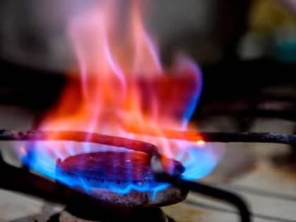 В Чувашии многодетная семья отравилась угарным газом