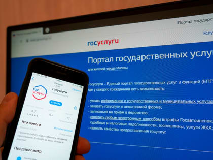 Получить налоговое уведомление можно через Единый портал государственных и муниципальных услуг