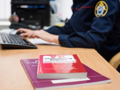 СУ СКР по Чувашии возбуждено уголовное дело в отношении бывшего представителя конкурсного управляющего, подозреваемую в мошенничестве в крупном размере