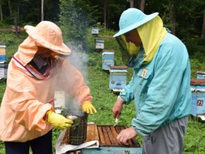 О проведении практического семинар-совещания с пчеловодами и специалистами ветеринарных служб