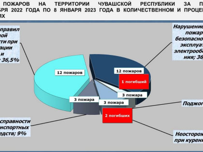 Новогодних пожаров стало меньше
