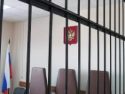 Житель Цивильского района, до смерти избивший сожительницу, признан судом невменяемым