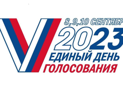 На сентябрьских выборах в Чувашии впервые будет применено дистанционное электронное голосование