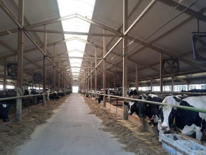 Оператор машинного доения СХПК «им. Ульянова» Илья Михайлов  занял 2 место в республиканском конкурсе