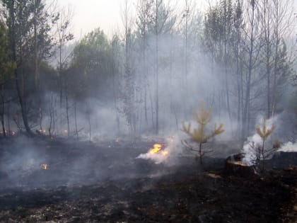 IV класс пожароопасности установлен в Чувашии