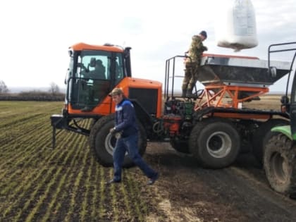 В СХПК «Комбайн» приступили к подкормке озимых культур