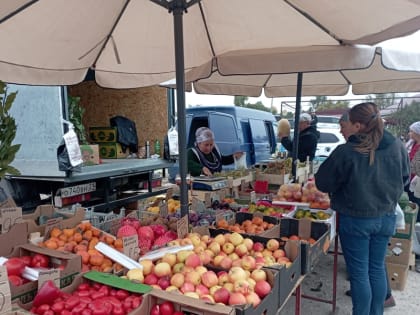 Сельскохозяйственная ярмарка «Дары осени-2024» в Яльчиках