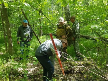 Отсутствие результата – это тоже результат