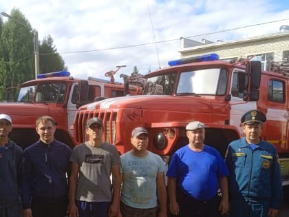 Шăмăршăсем _ малтисен йышĕнче