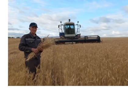 Вот и наступил пора уборки урожая в ООО «Яманчурино»