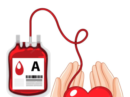 О важности донорства крови и её компонентов
