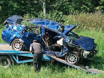 Водитель, устроивший смертельное ДТП в Козловском округе, уснул за рулем