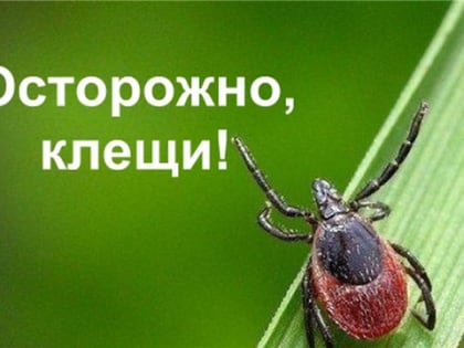 Берегитесь укуса клещей