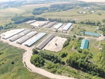 Россельхознадзор проводит обследование буферных зон птицеводческих и свиноводческих хозяйств Чувашии с применением современных технологий