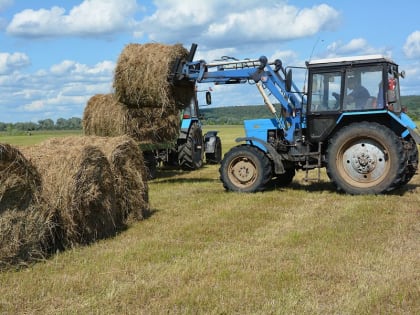 Кормозаготовка в хозяйствах Шумерлинского округа идет полным ходом
