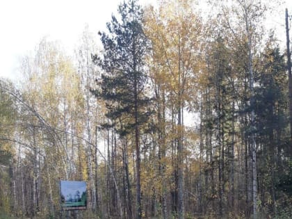 Минприроды Чувашии об итогах профилактических рейдов за прошедшую неделю