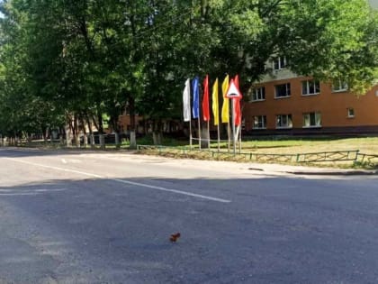 В преддверии Дня города Чебоксары в Ленинском районе приступили к флаговому оформлению