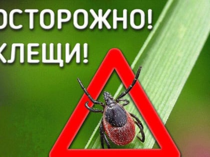 О рекомендациях, как защитить детей от клещей