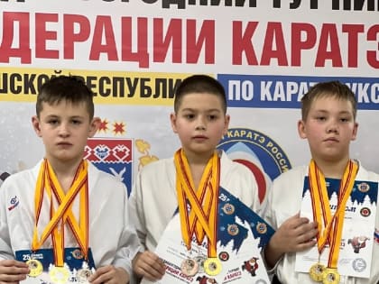 Предновогодний турнир по каратэ версии WKC