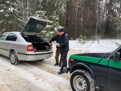 В лесах Чувашии задержали мужчину, вырубившего 2 новогодние ели