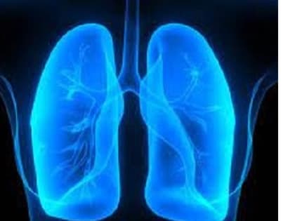 О факторах риска и профилактике заболеваний лёгких