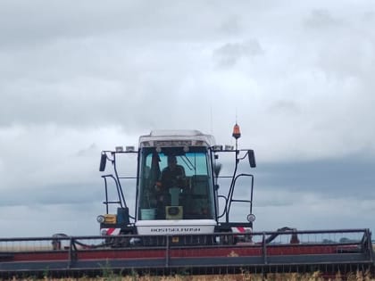 Косовица в СХПК «Рассвет»