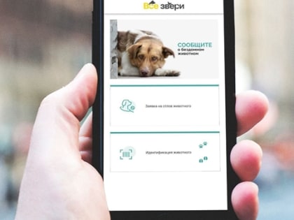 Теперь в Чувашской Республике подать заявку на отлов животных без владельцев стало возможным с помощью мобильного приложения "Поиск животного"