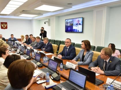 В рамках Дней Чувашской Республики в Совете Федерации Алена Елизарова приняла участие в совещании комитета по социальной политике