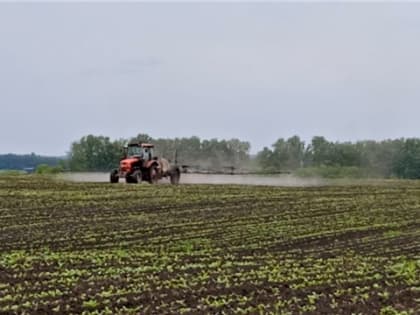 В Шемуршинском районе завершен сев яровых зерновых культур. Ведется работа по подкормке яровых культур