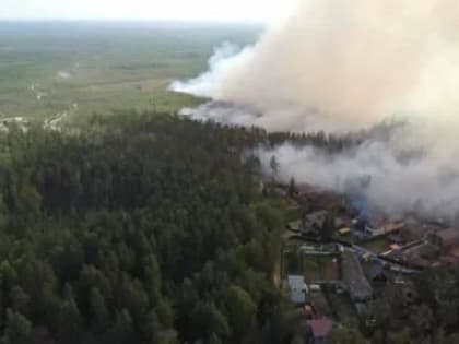 На территорию Марий Эл перекинулся лесной пожар из Нижегородской области