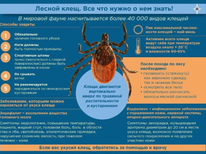 Клещи! Будьте внимательны