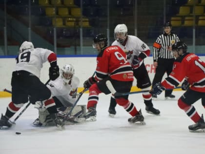 Десять шайб от “Сокола” новочебоксарского “Соколу” курскому