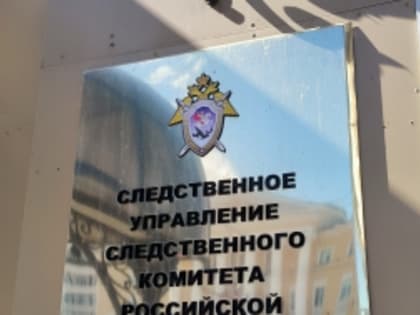 Уроженец Ядринского района признан виновным в незаконном обороте порнографических материалов